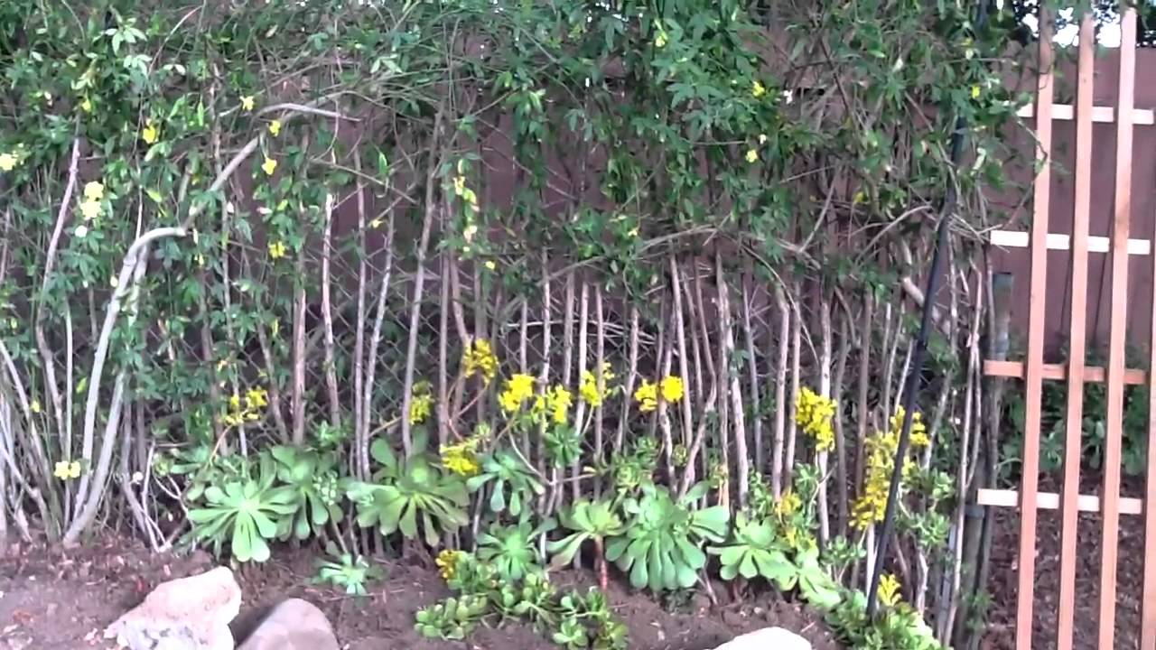 Corner Rock Garden, Stage VI, in Grace's Garden