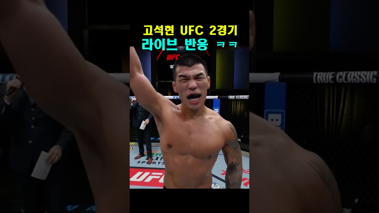 고석현 vs 필 로 라이브 반응 ㅋㅋㅋ