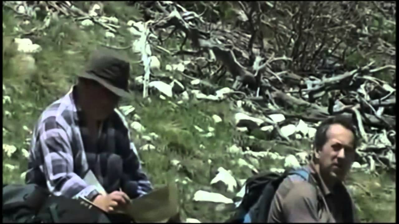 Vran planina