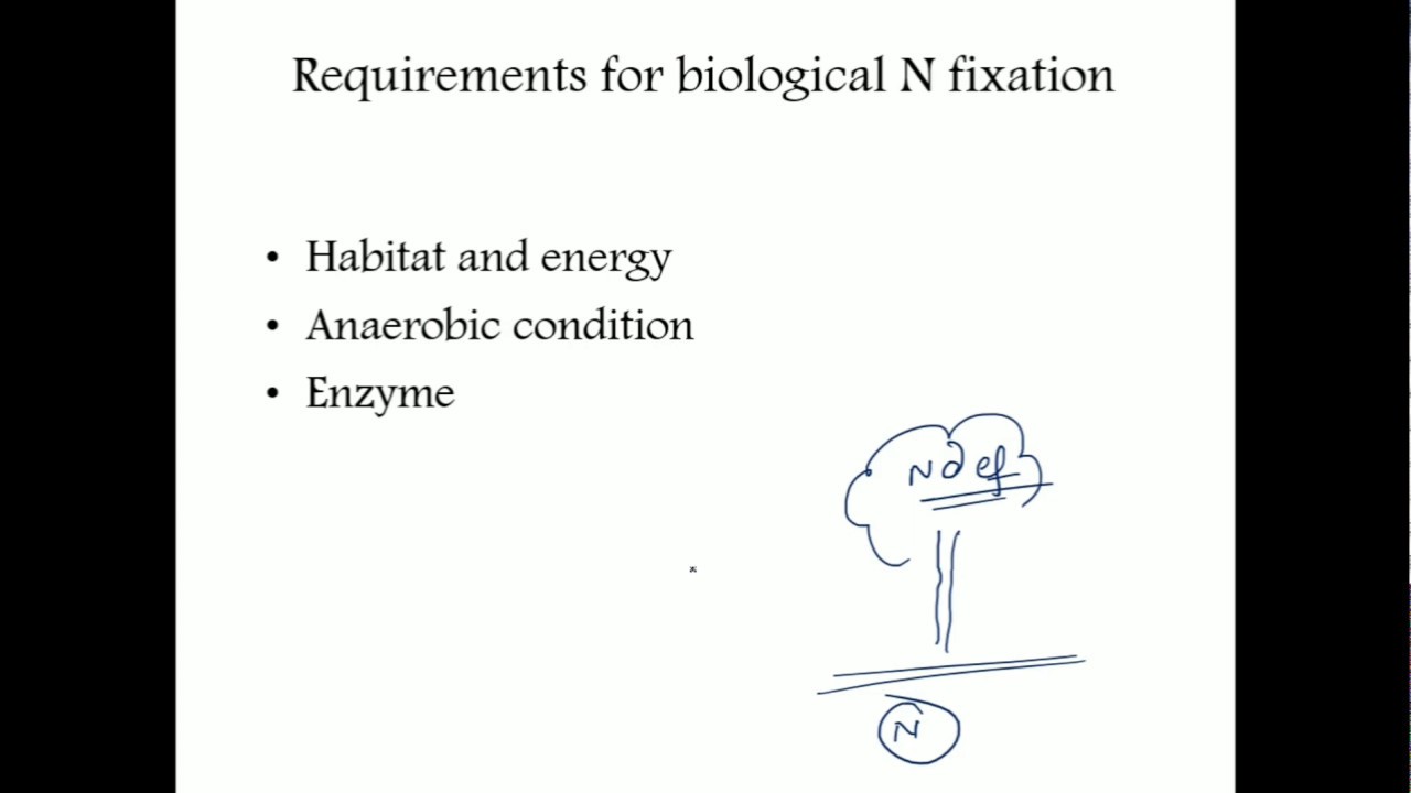Biological Nitrogen Fixation| Agronomy and Soil Science