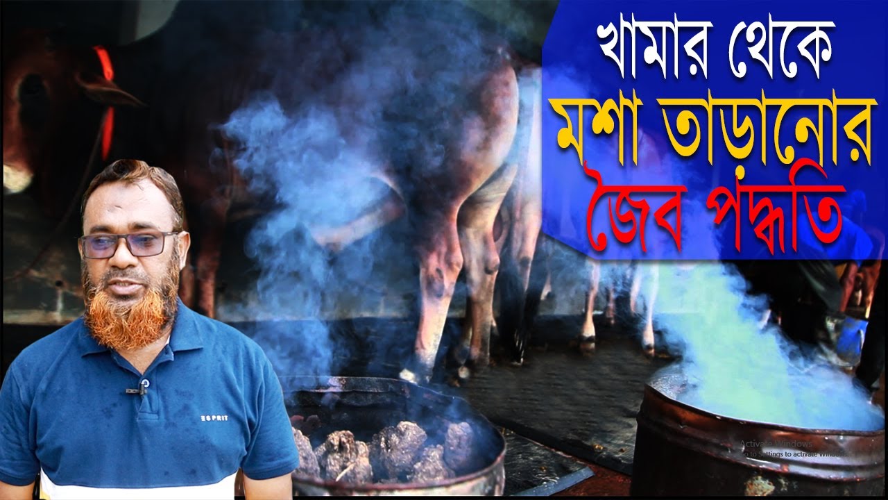 মশা-মাছি মারার সহজ পদ্ধতি । গরুর গোবর দিয়েই খামারের মশা নিধন পদ্ধতি। An easy way to kill mosquitoes.