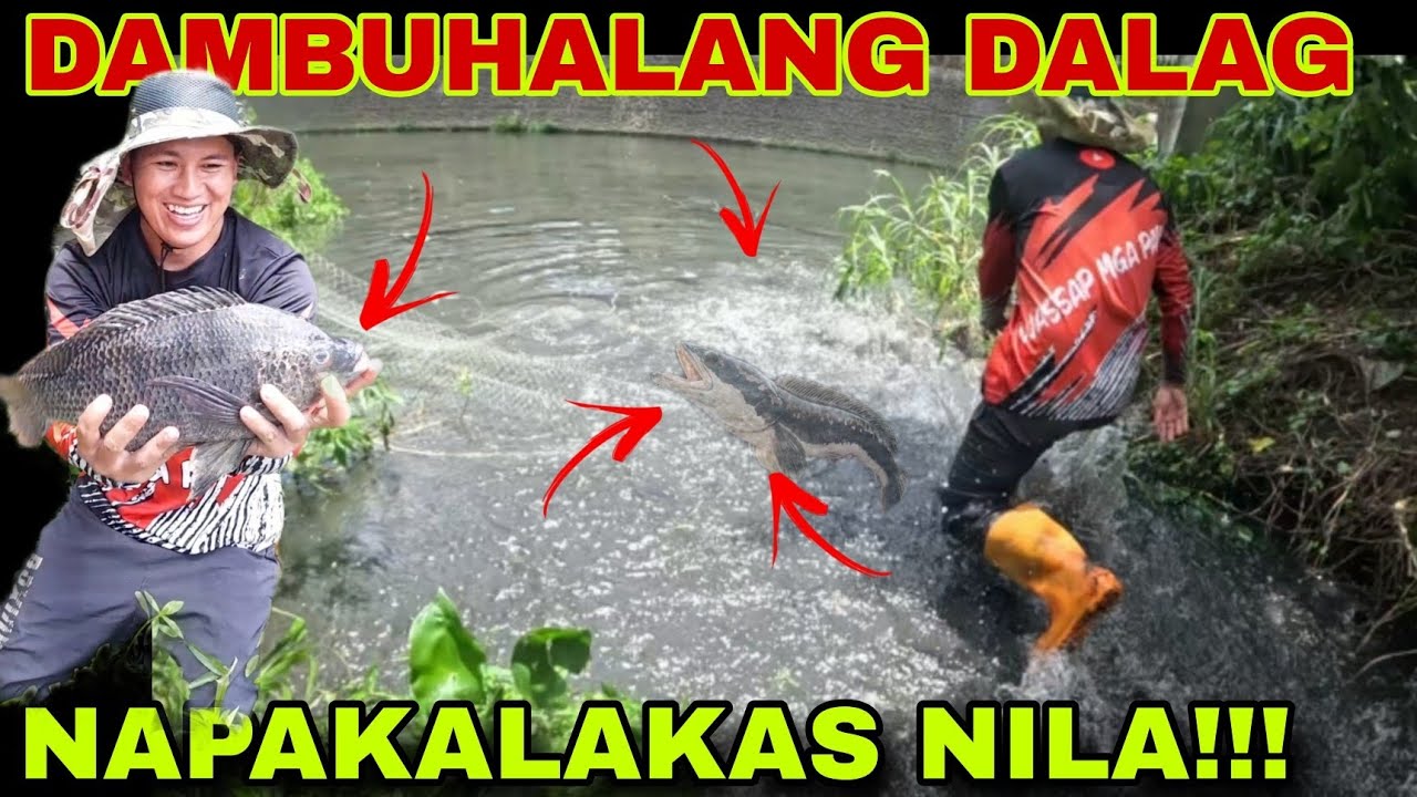 PAKIKIPAGBUNO  SA MGA MAMAW NA DALAG AT ISDA SA LUNGGA NA ITO ! INTENSE FISHING! CATCH AND COOK