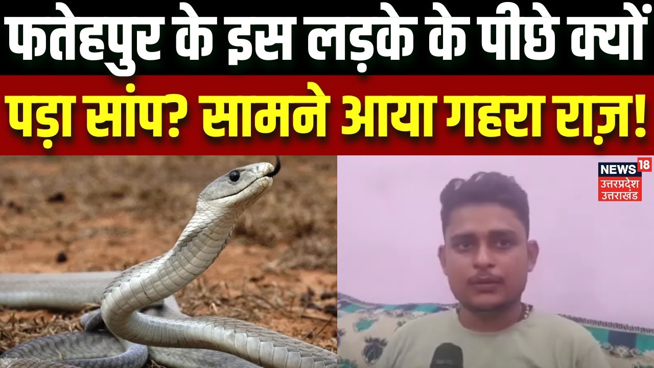 Fatehpur Snake Attack: फतेहपुर के इस लड़के के पीछे क्यों पड़ा सांप? सामने आया गहरा राज़! | N18V