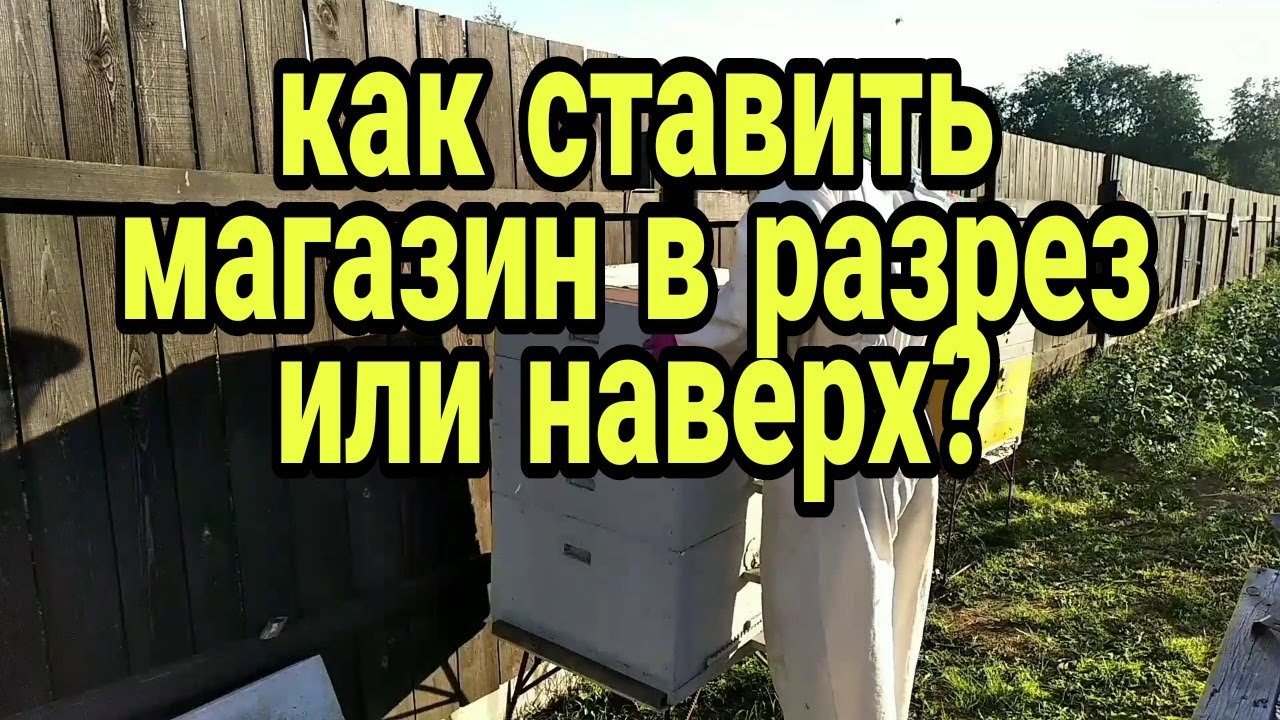 как ставить магазины для пчёл в разрез или нет?