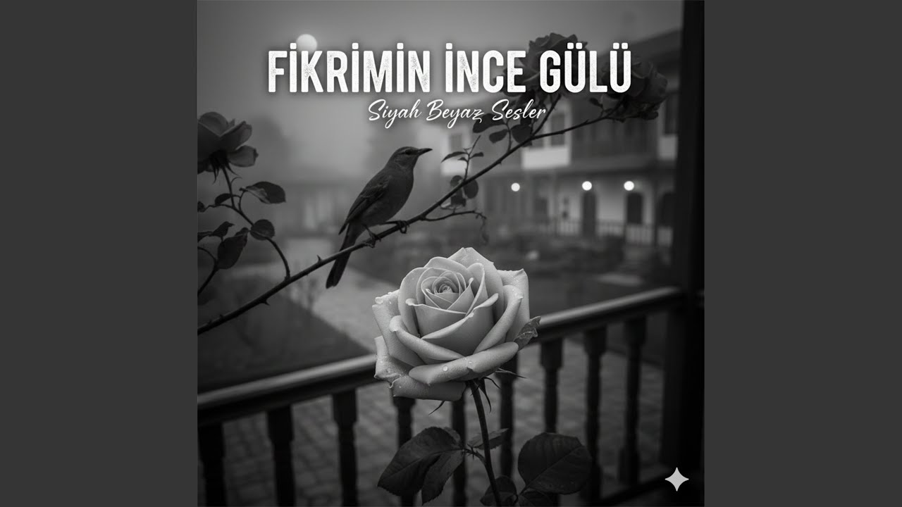 Fikrimin İnce Gülü