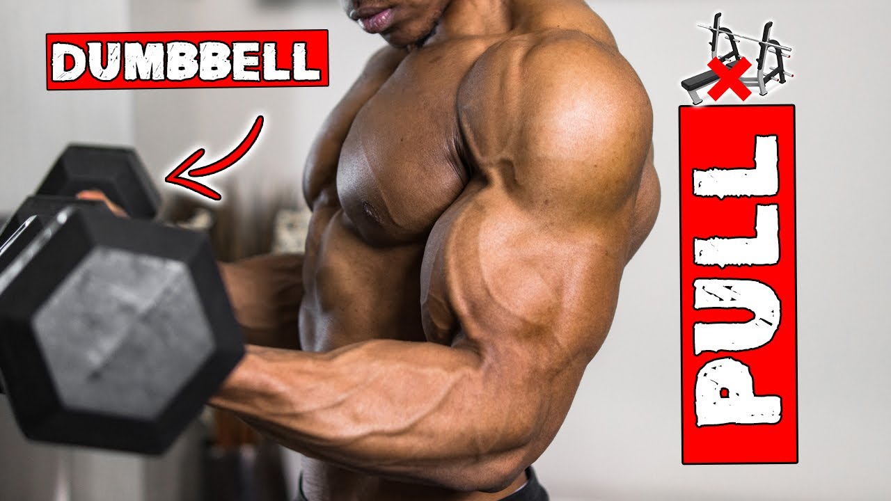 20 MINUTE PULL WORKOUT AT HOME | LIGHT DUMBBELLS ONLY