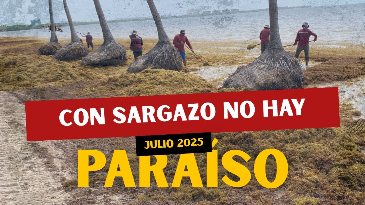 Antes de Viajar a CANCÚN o TULUM: MIRA la VERDAD del SARGAZO (Julio 2025)