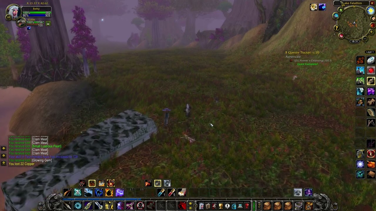 Raene's Cleansing (WOW classic quest)