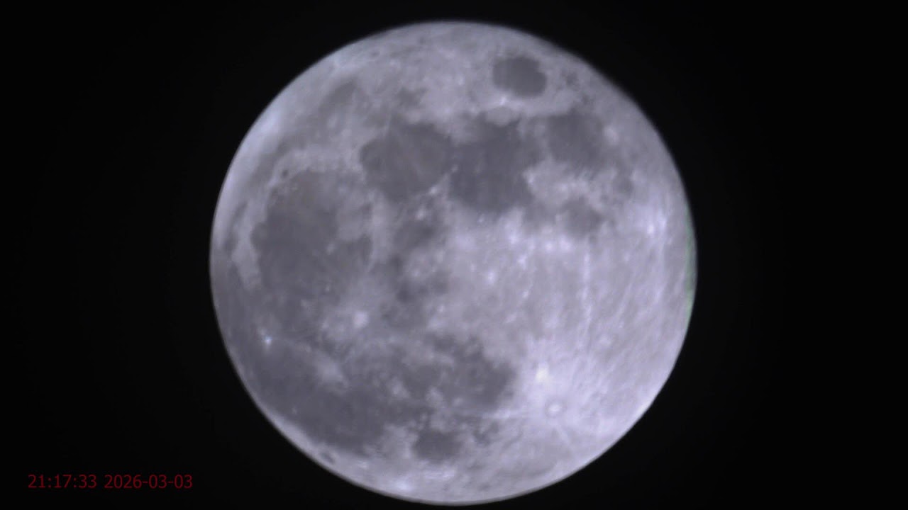 Skywatch #156 | 2026-03-03? | LIVE MOON 🌕 Any Meteors Passing By?