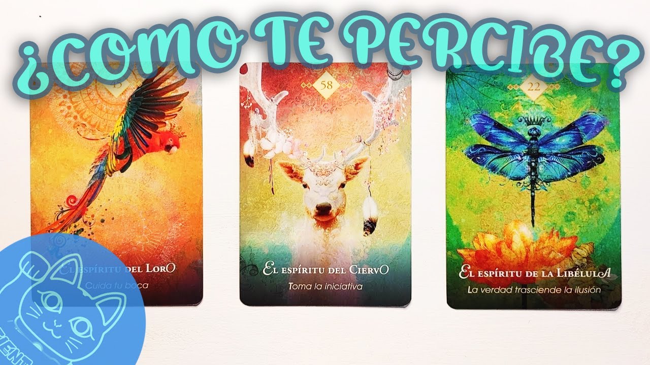 💫&tilde;&rdquo;*&deg;&bull; &iquest;𝘾&Oacute;𝑀𝙊 𝙏𝐸 𝙋𝐸𝑅𝘾𝐼𝐵𝐸 ?&bull;&deg;*&rdquo;&tilde; 💫
