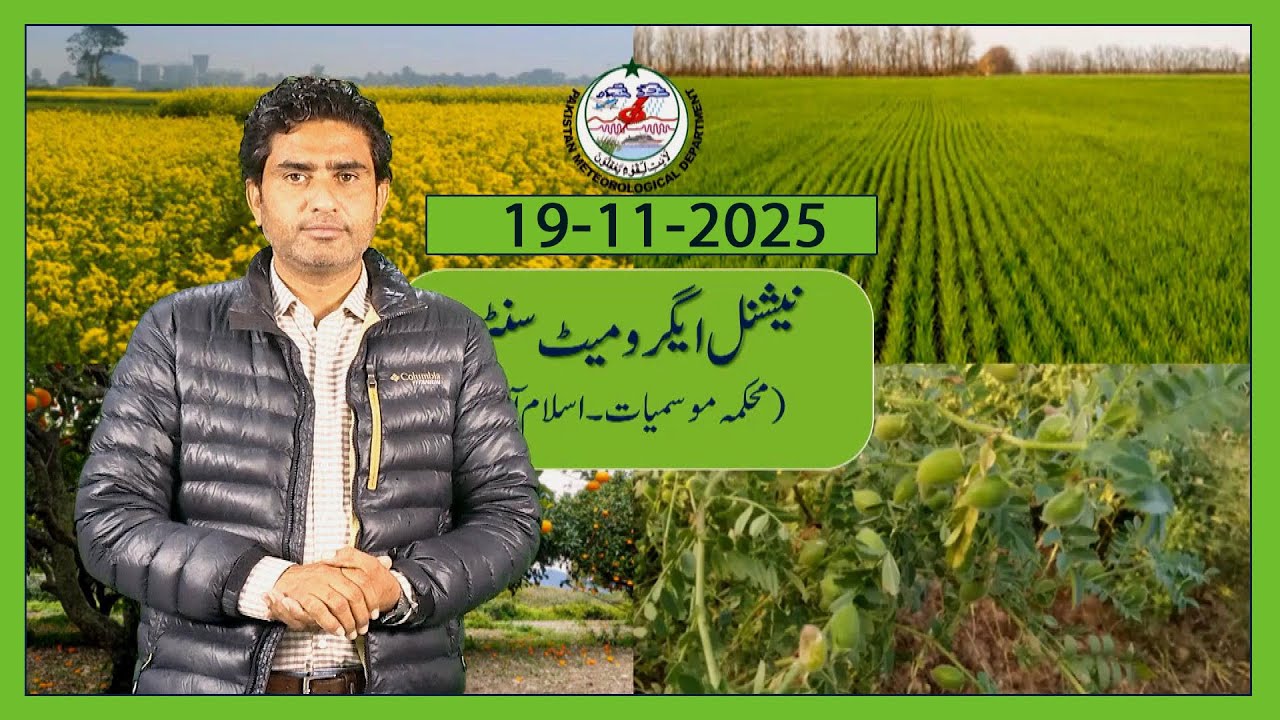 Прогноз погоды для фермеров в Пакистане | 19 ноября 2025 г. | PMD Agriculture Weather Update