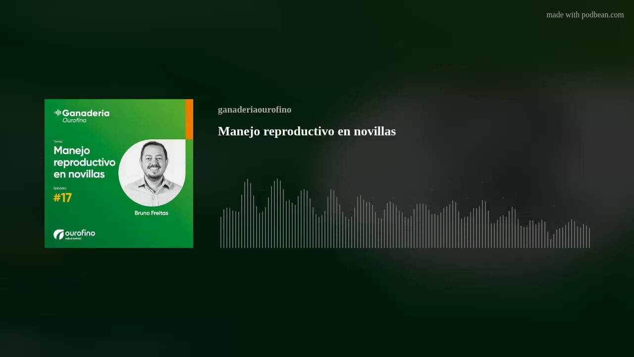 Manejo reproductivo en novillas