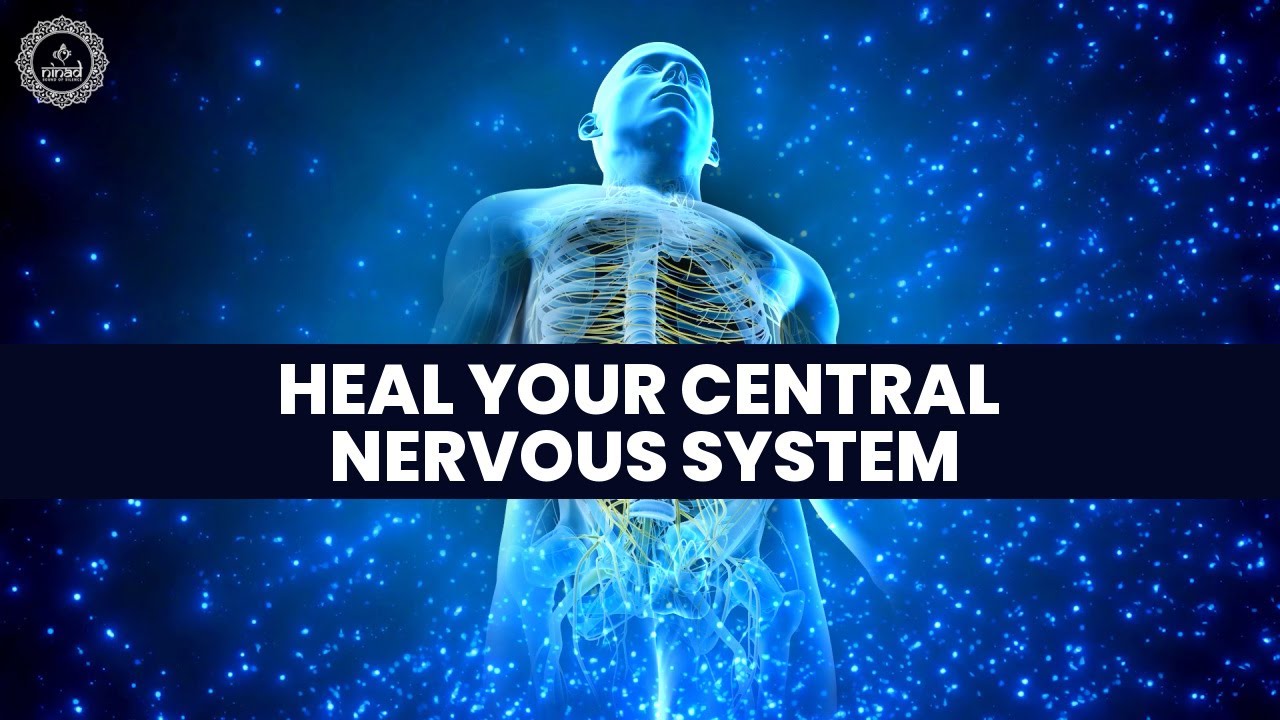 Heal Your Central Nervous System | Repair Nerve Tissues In The Brain & Spinal Cord | Binaural Beats