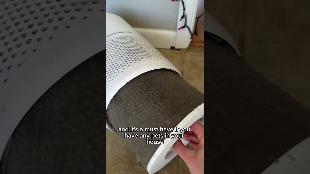 Use this to keep air clean if you have indoor pets! #levoit #airpurifier  #cat