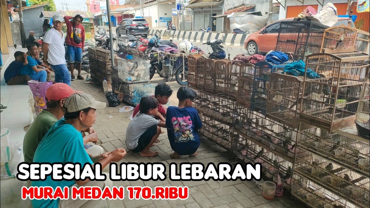 SEPESIAL LIBUR LEBARAN MURAI MEDAN 170.RIBU