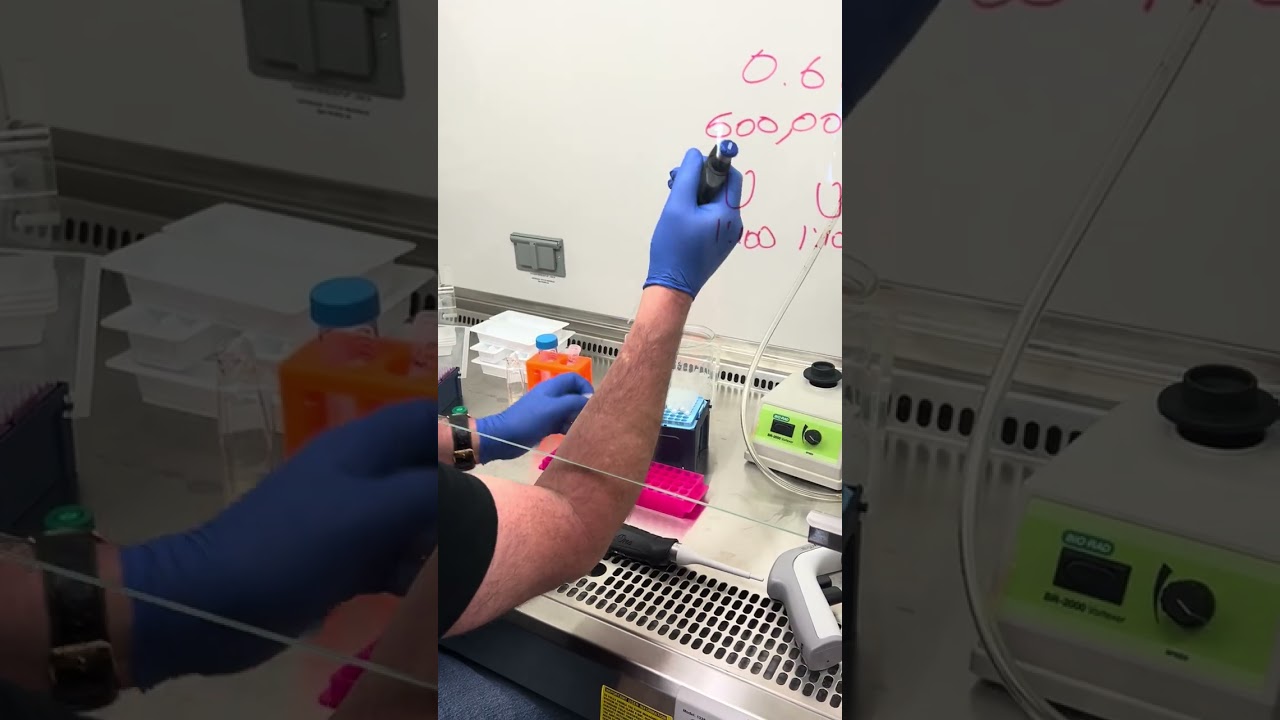 Cell Culture - Limiting Dilution