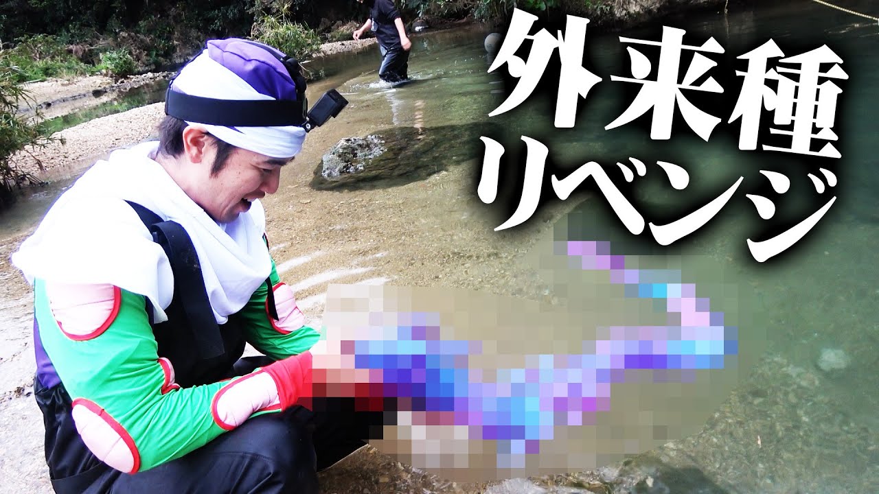 【外来種】生活排水に潜む巨大龍を捕獲せよ！