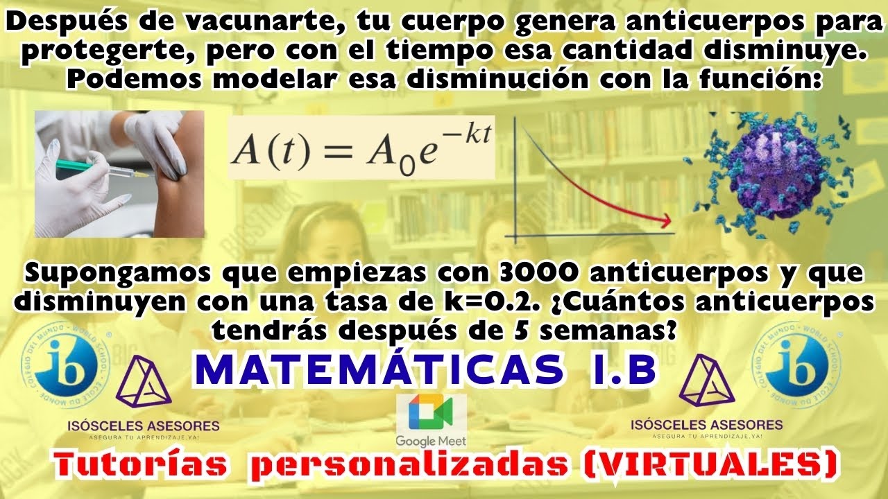 IB ,MATEMÁTICAS, Álgebra N.S (Análisis y Enfoques)