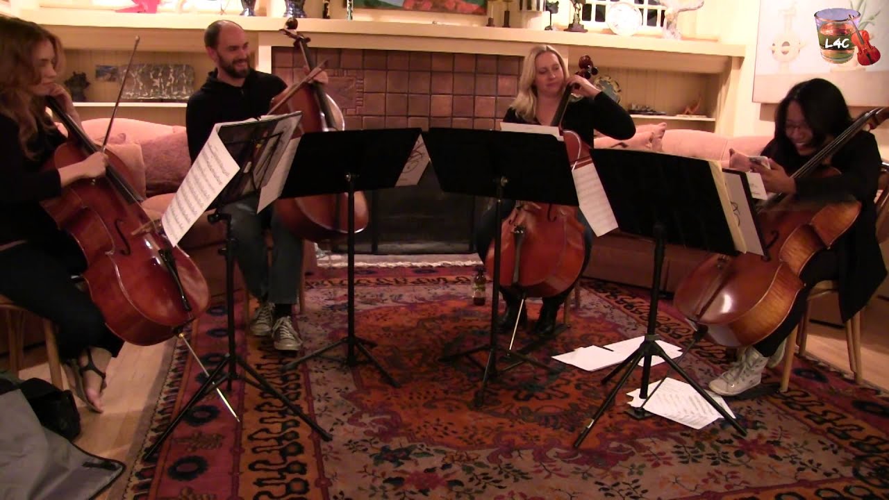 [Cello Shot] Tuning troubles...poor Lucy...
