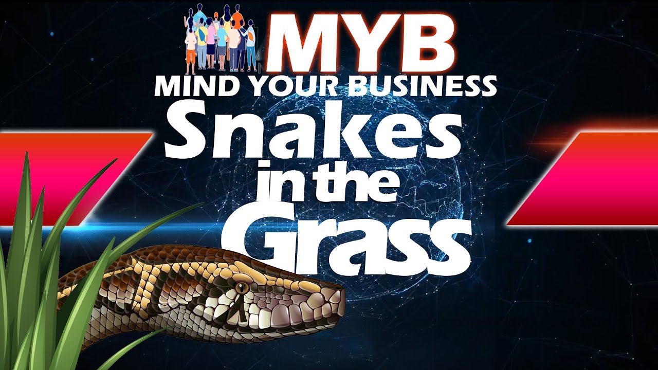 Mind Your Business  ||  Snakes in the Grass