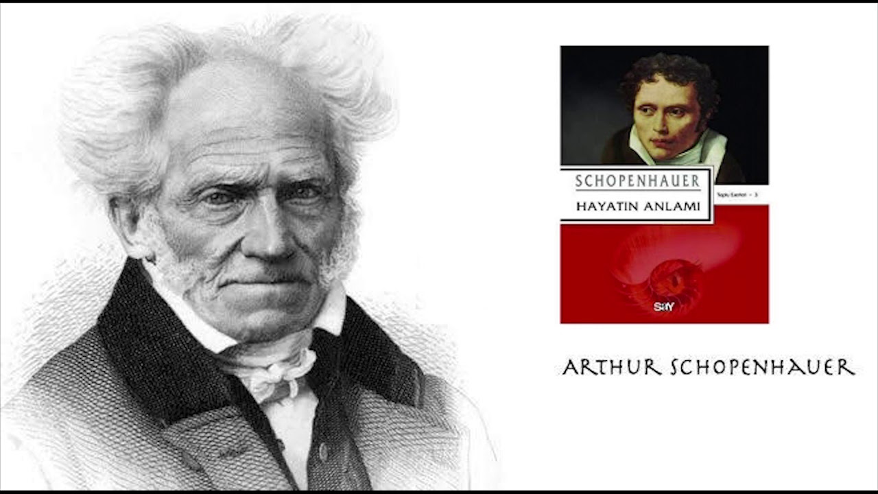 Arthur Schopenhauer - Hayatın Anlamı #seslikitap #Schopenhauer #HayatınAnlamı