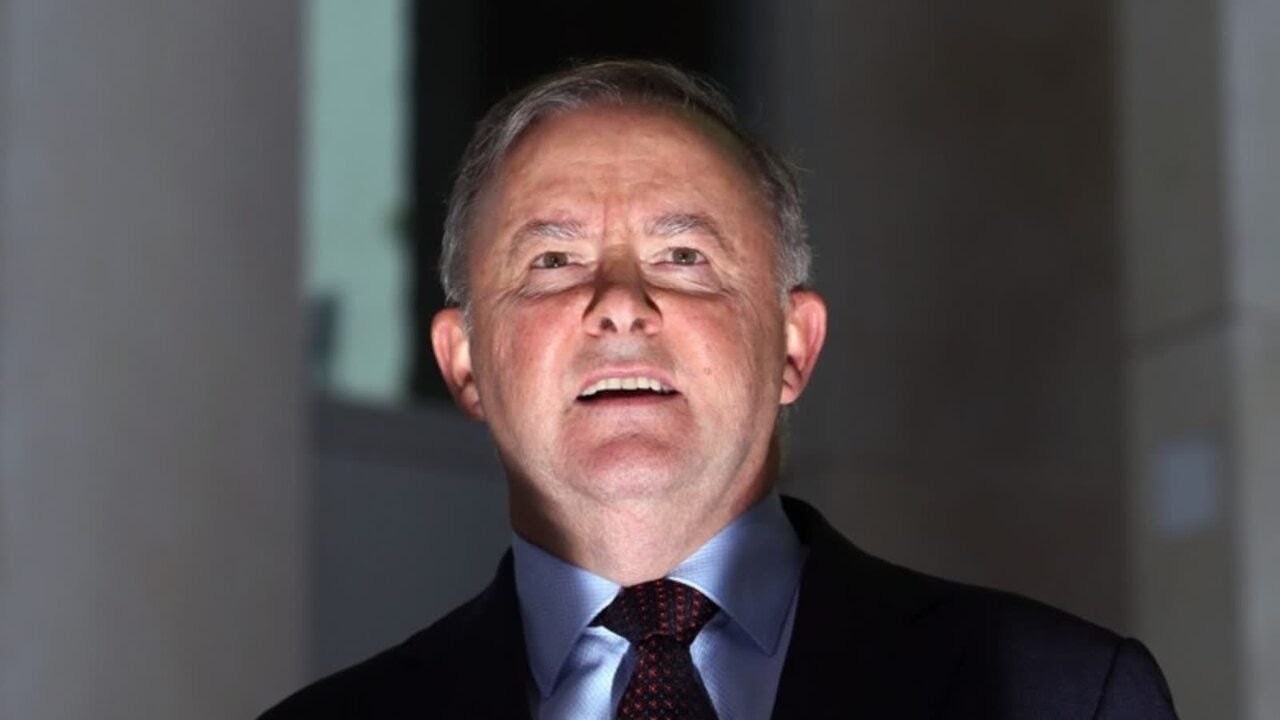 ‘Everybody is hurting’ under the Albanese government