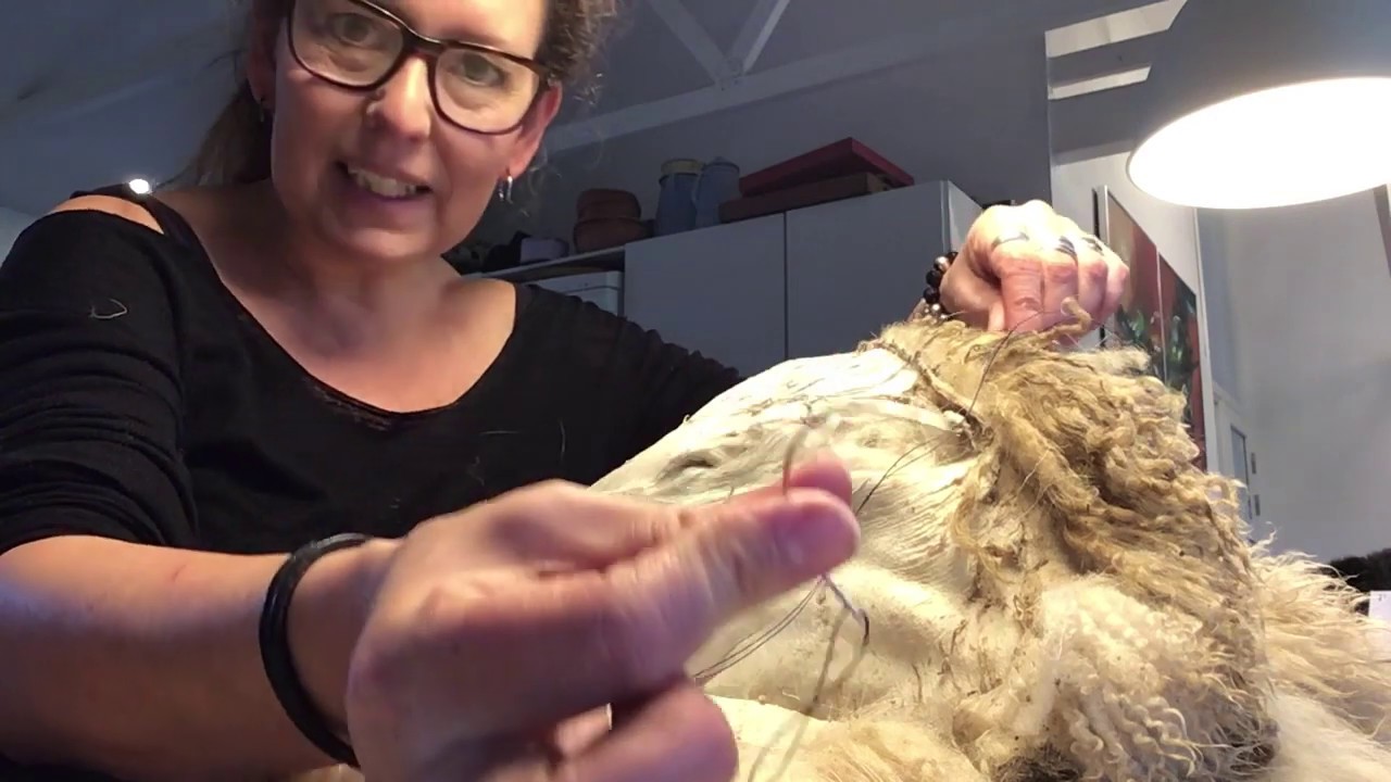 Garv et lammeskind