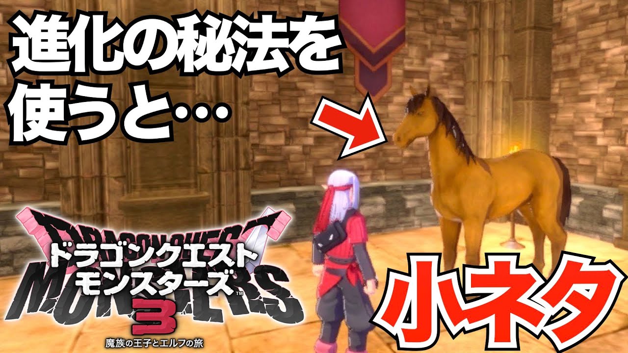 【DQM3】ドラクエ4とのつながりを感じる小ネタ集