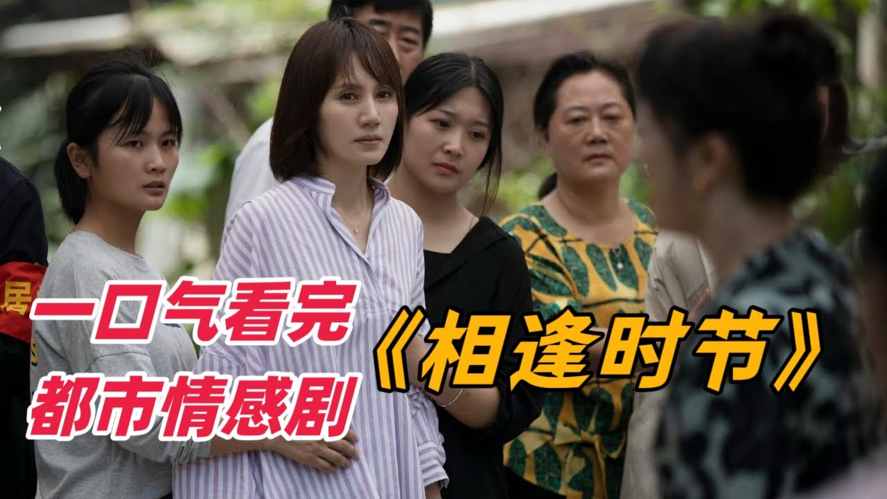 一口气看完都市情感剧《相逢时节》！