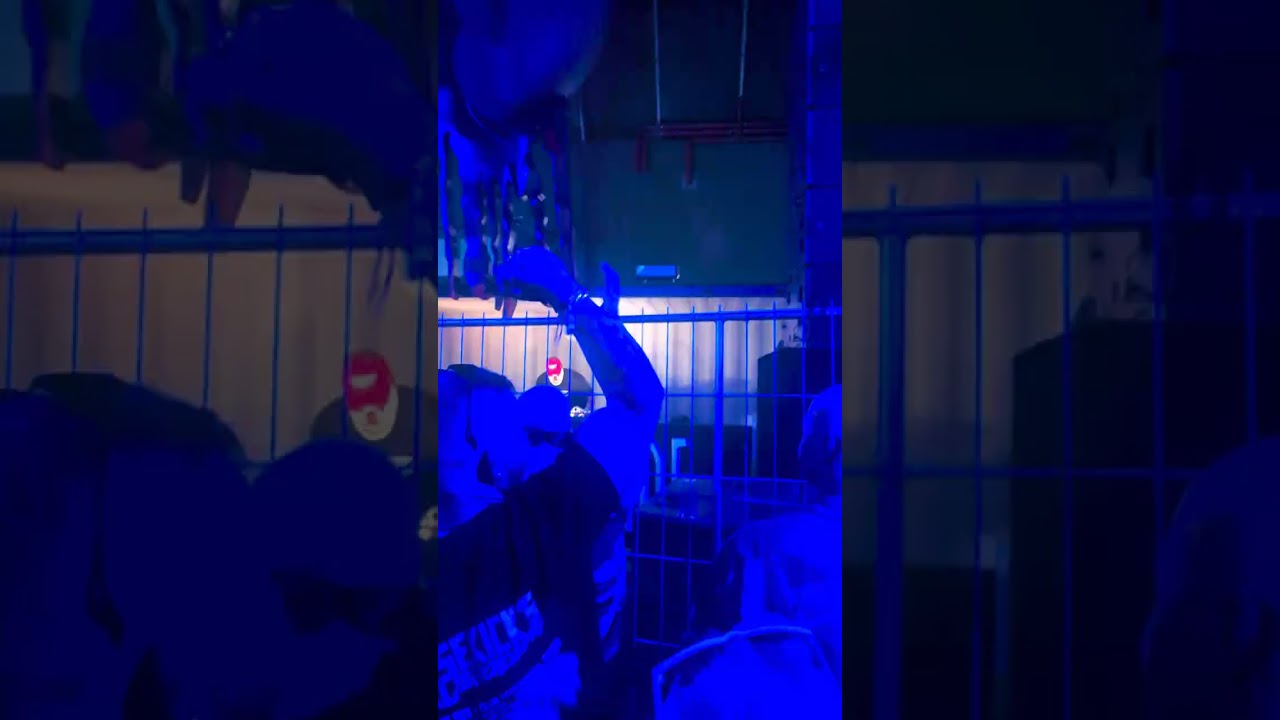 Terrorclown @ thunderdome