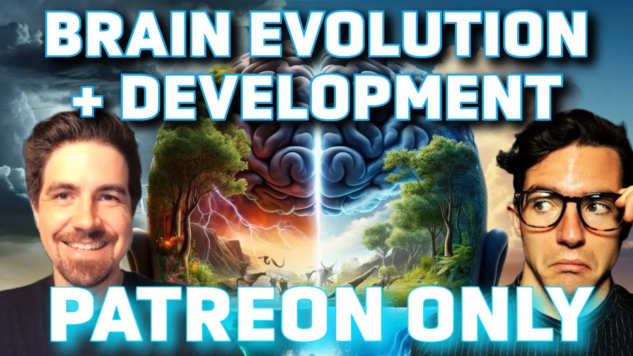 Human Evolution & Brain Development (The Social Brain - Patreon ep 4)