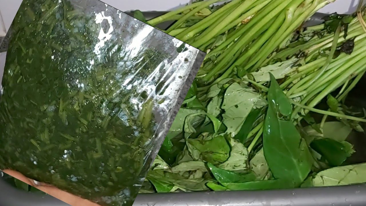 conservation ya MATEMBELE