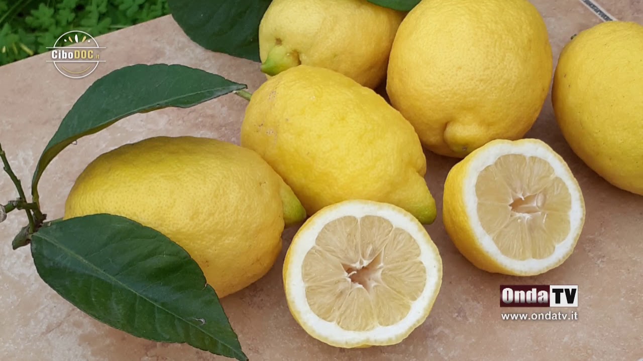 Il Limone Interdontato Messina, eccellenza Siciliana IGP