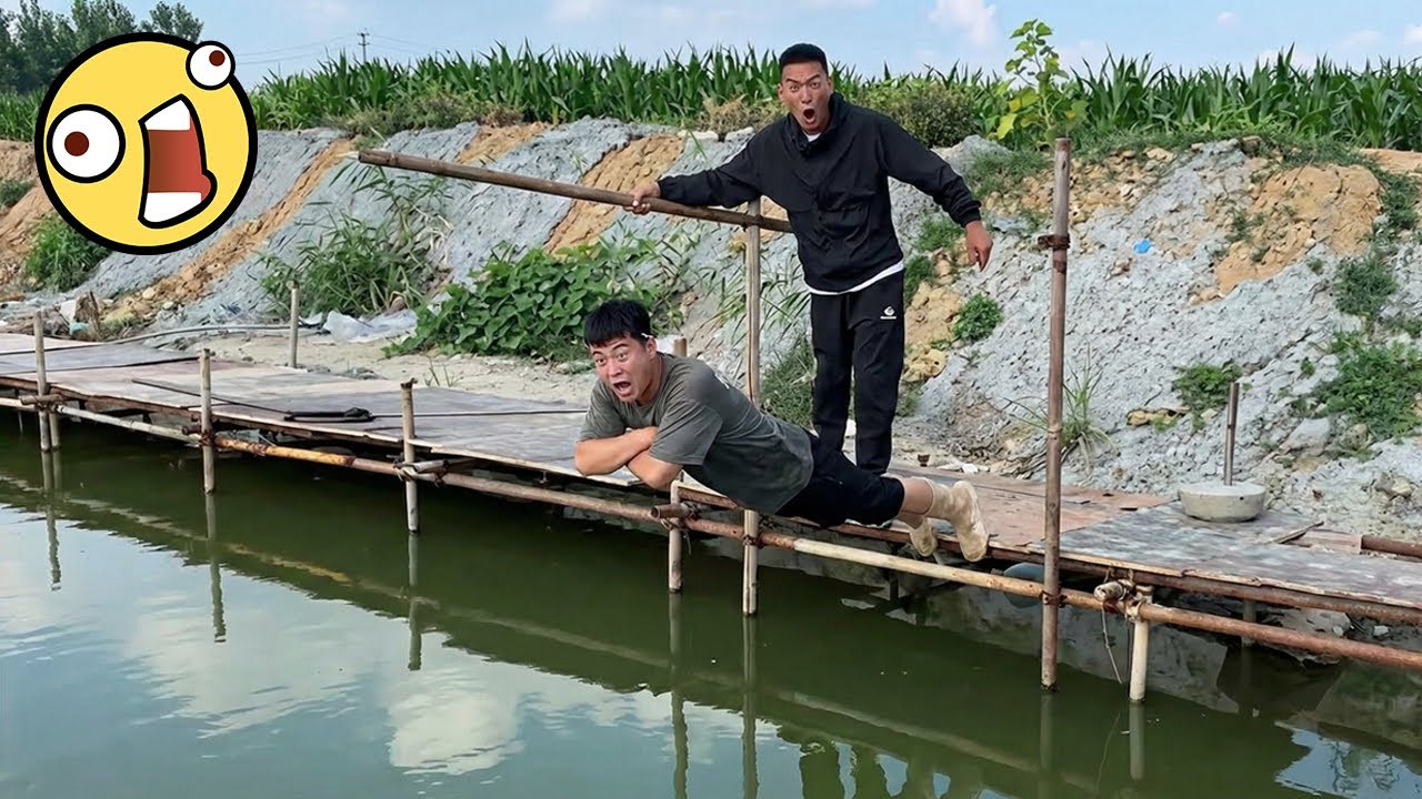 Best Fails of The Week 😂 Try Not to Laugh Challenge | Funniest Clips Ever