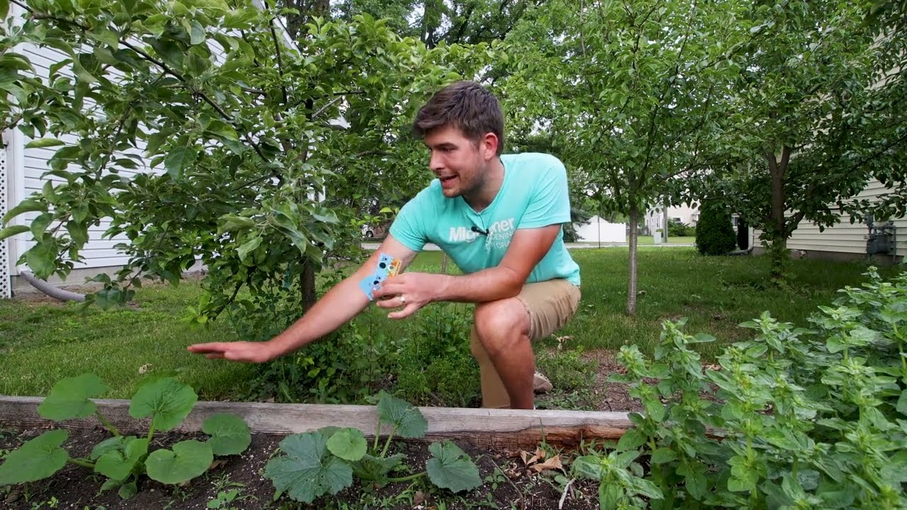 Amazing Garden Helper From&hellip;HARRY POTTER?!