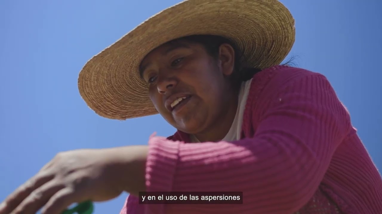 Ayninacuy (versión completa, español)