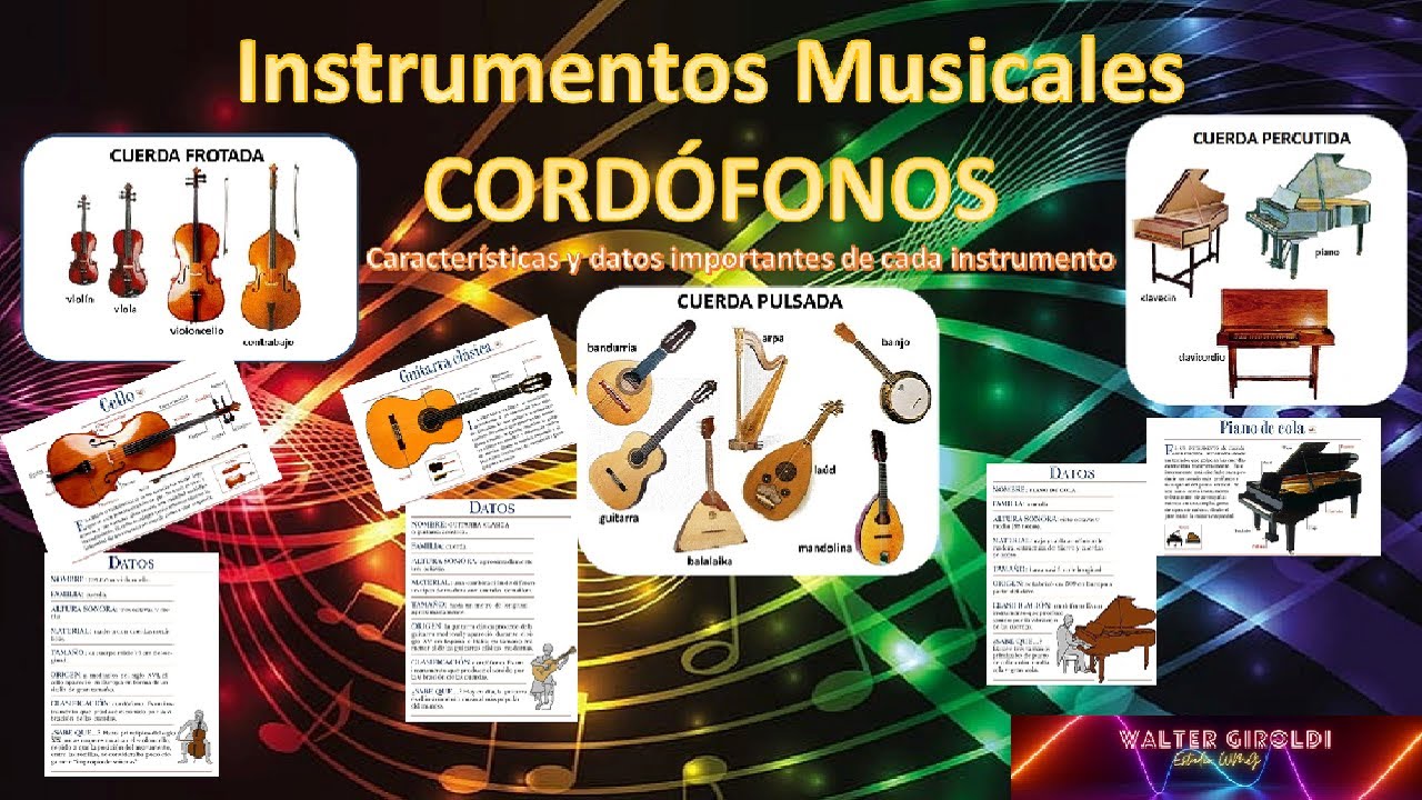 Cordófonos: Cuerda Frotada, Pulsada y Percutida | Instrumentos Musicales