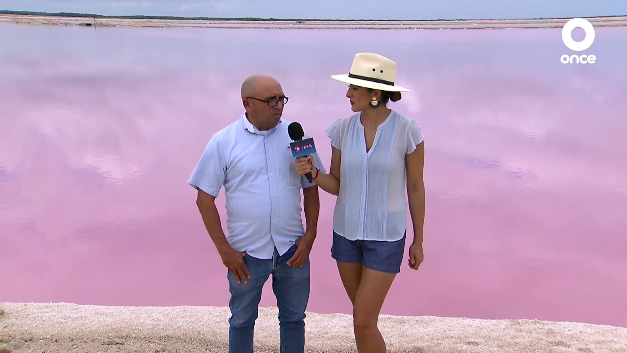 D Todo - Las coloradas, Yucatán (05/12/2019)