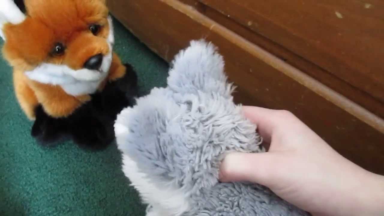 Webkinz Wolf Pack: Episode 4
