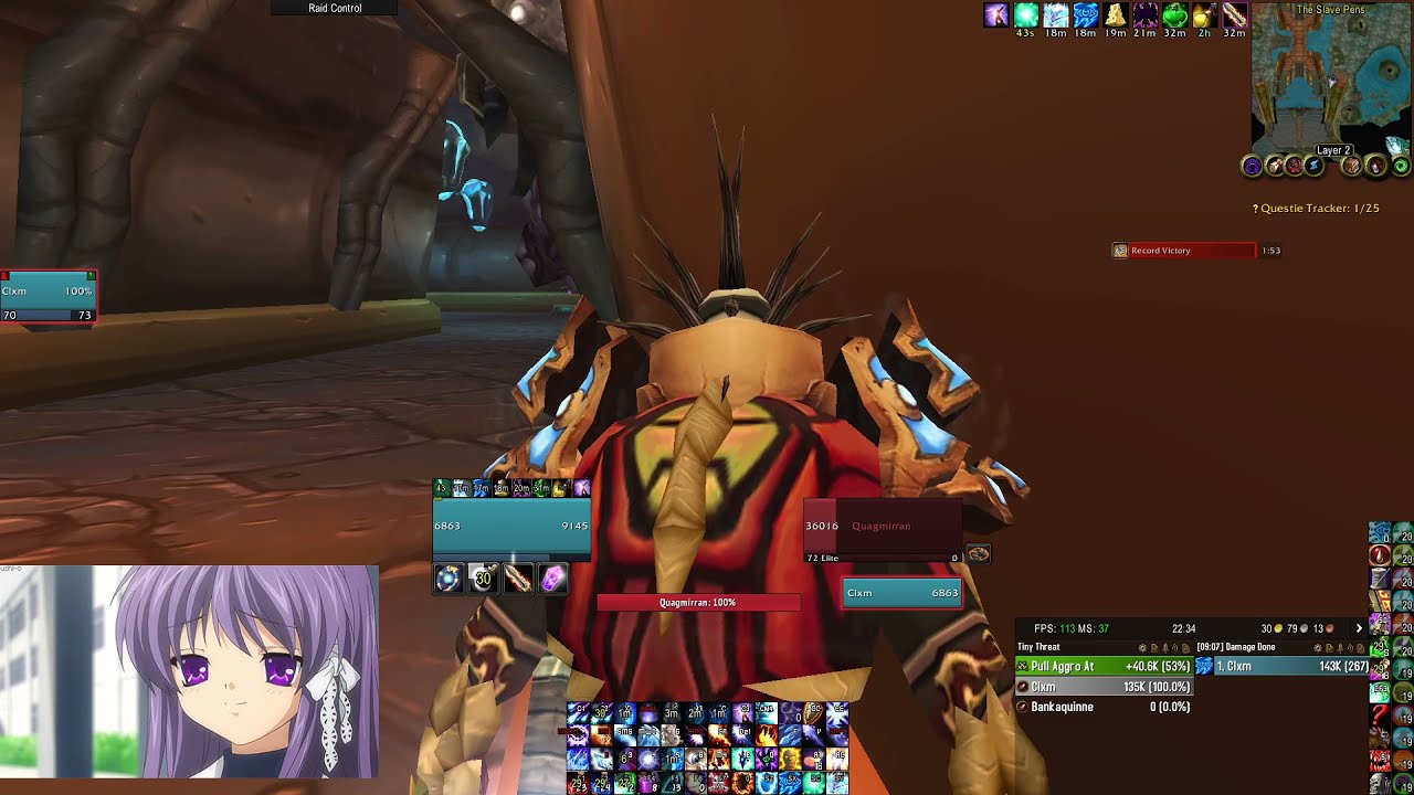 WoW TBC - [Mage] Solo Slave Pens Heroic 11 minute quagmirran kill