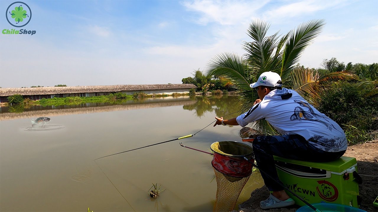 CÁCH CÂU CÁ MÙA LẠNH, CÁ ĂN CHẬM, TÍN HIỆU PHAO YẾU | QUAY TRỞ LẠI HỒ CÂU 2K 1 PHÚT VÀ CÁI KẾT