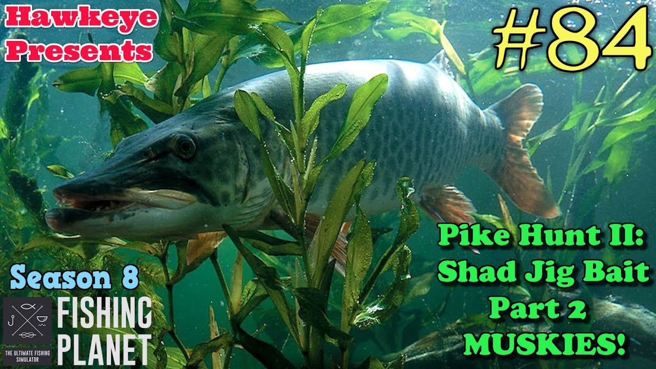 Fishing Planet #84 - Pike Hunt II Shad Jig Bait Mission - Part 2 - MUSKIES!