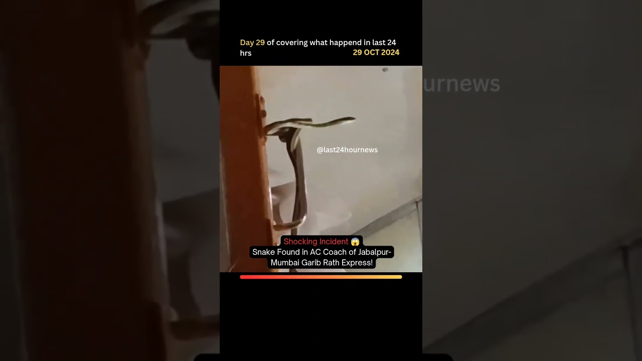 Snake Found in AC Coach of Express Train!