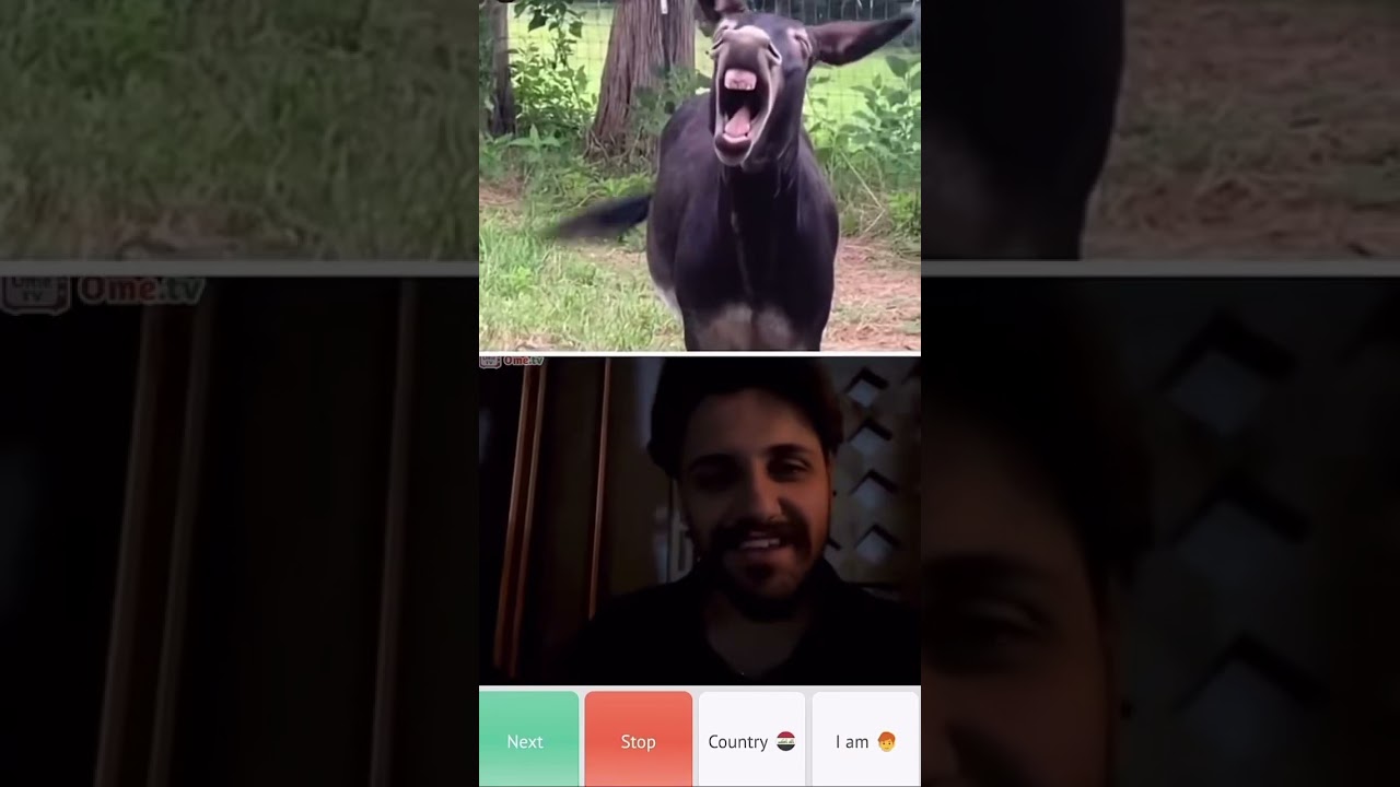 #spotlightmedia #funny #omegle