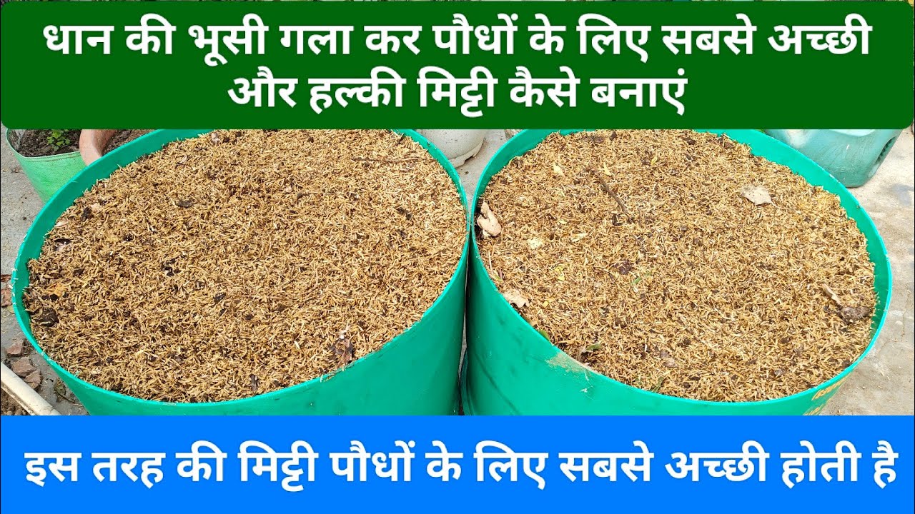 ये छत में बनवानी करने के लिए सबसे अच्छी मिट्टी है