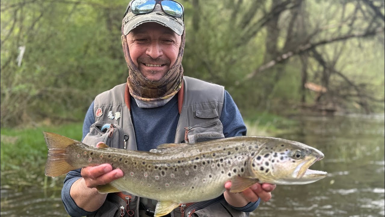 Spring Ribnik, Bosnia and Herzegovina. Grayling trophy land!