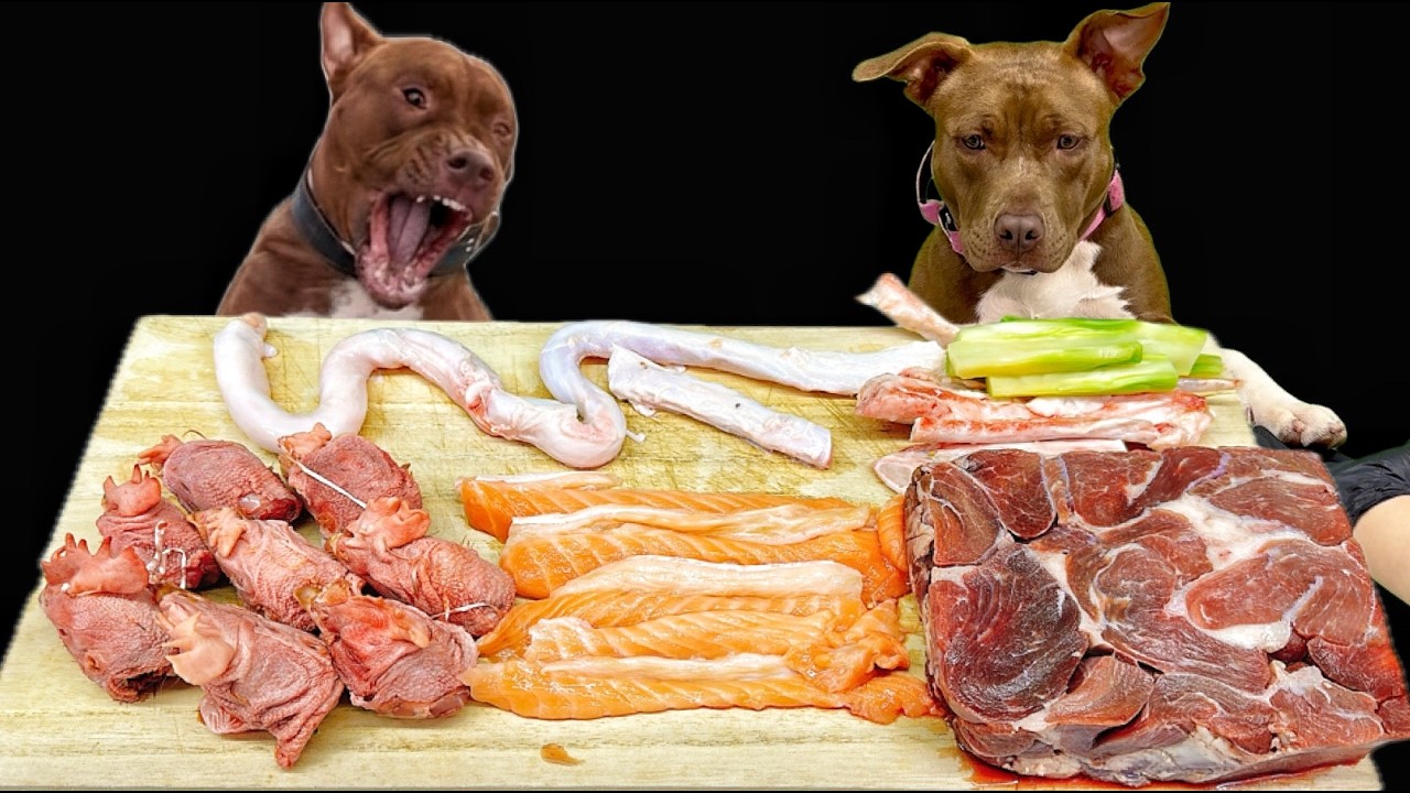 Satisfying Raw Meat ASMR 🐶 Pitbull Crunch & Chew