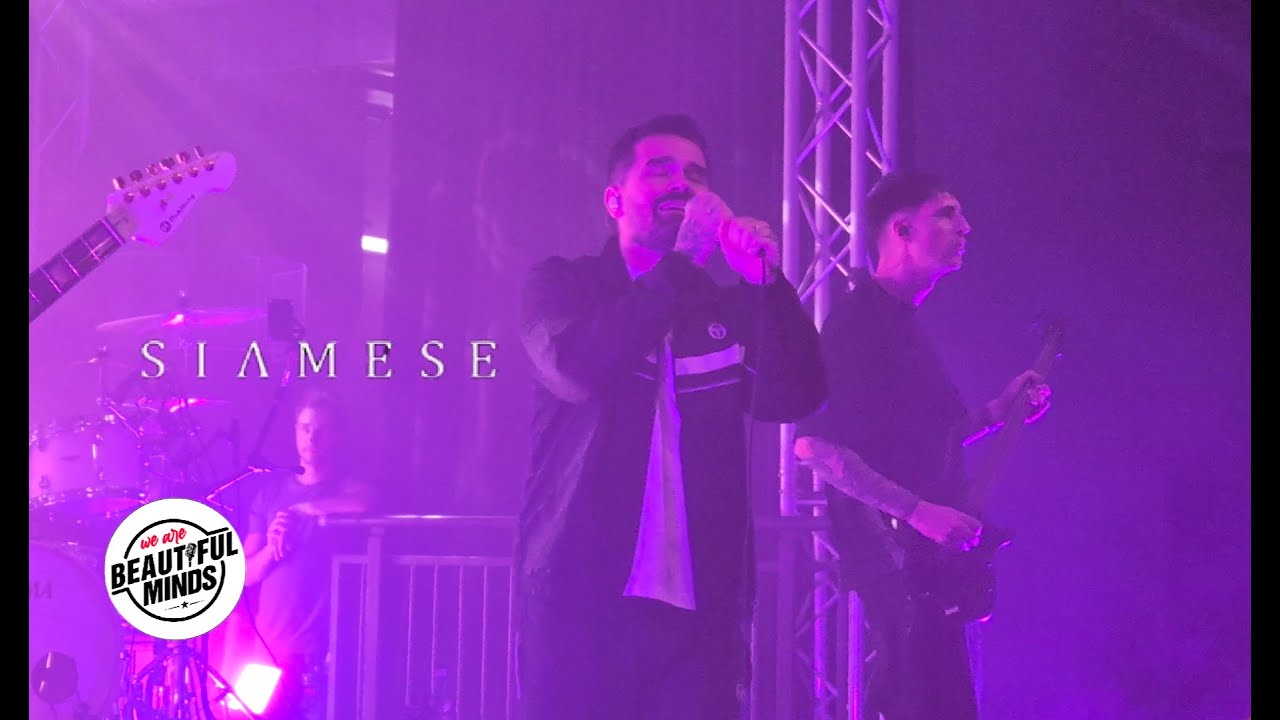 Siamese - Chemistry - Live 2025