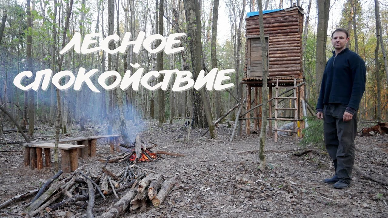 Домик над землёй #11 / Одиночная ночёвка в лесном домике, ужин на углях.
