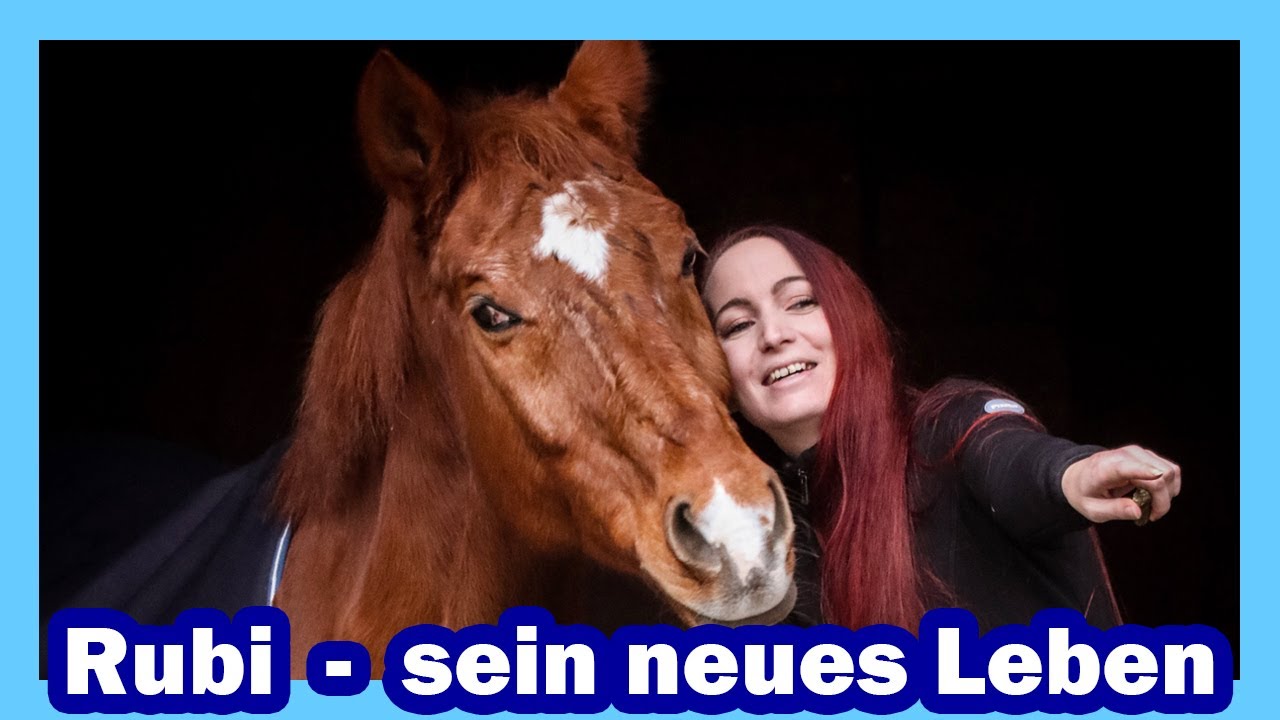 Reitest du Rubi noch? | 𝗥𝘂𝗯𝗶‘𝘀 neues Leben